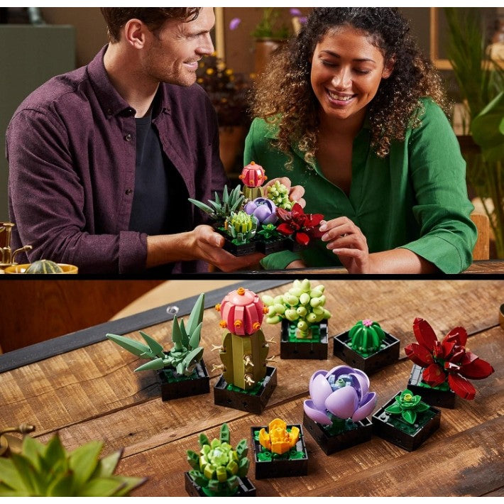 Set de Constructie Ghivece de Flori Suculente, Vivimall, Ornament Creativ, 771 de Piese, Multiple Variante de Asamblare, Multicolor - vivimall.ro