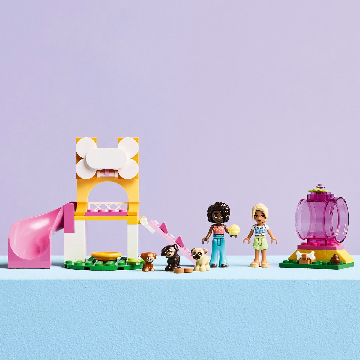 LEGO FRIENDS LOC DE JOACA PENTRU CATELUSI 42665