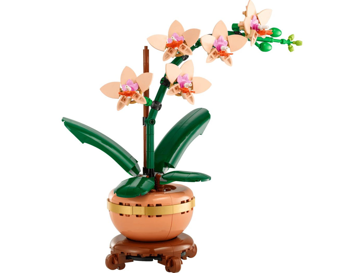 LEGO BOTANICALS MINI ORHIDEE 10343