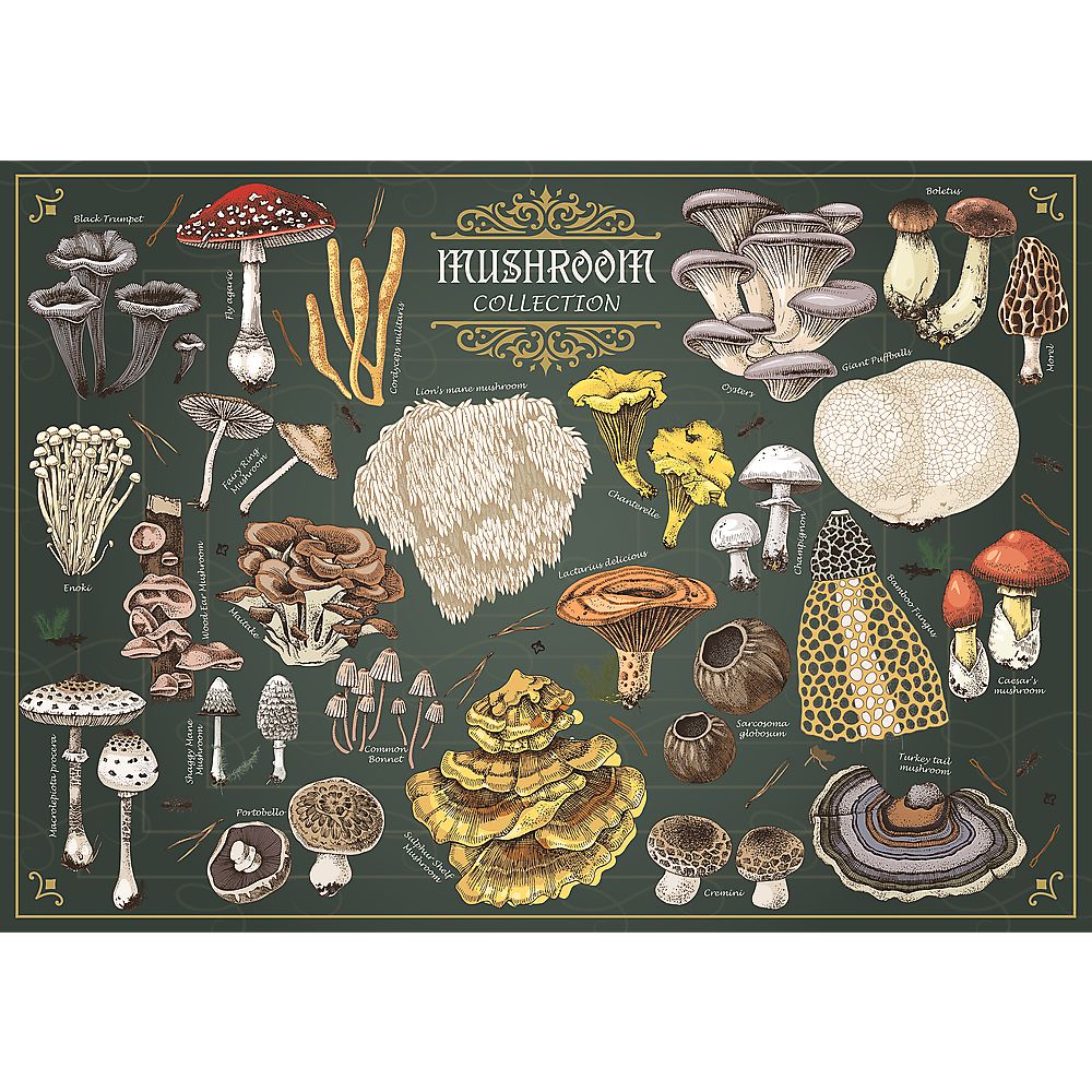PUZZLE TREFL 500 PREMIUM PLUS FINDERS KEEPERS CIUPERCI