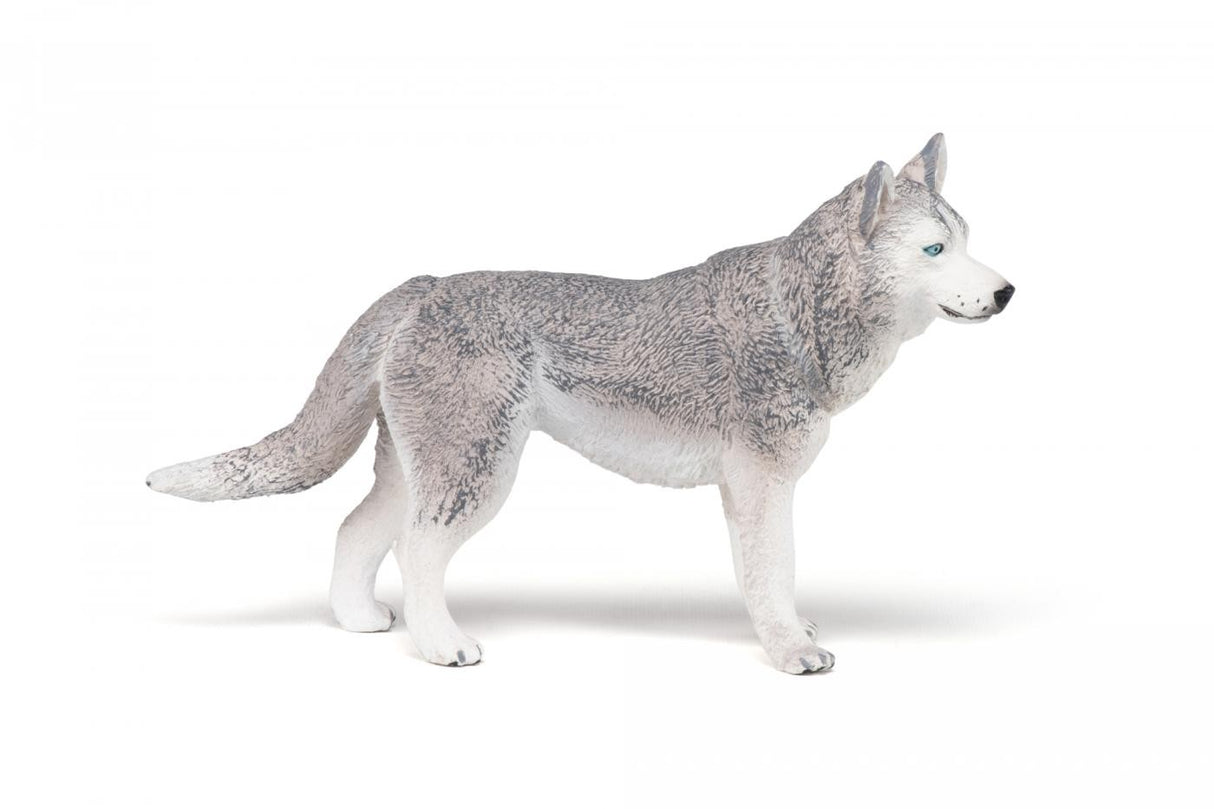 PAPO FIGURINA HUSKY SIBERIAN