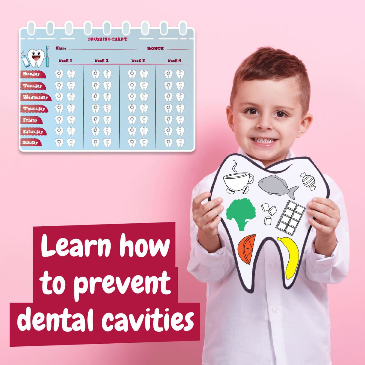 SET EDUCATIONAL LA DENTIST