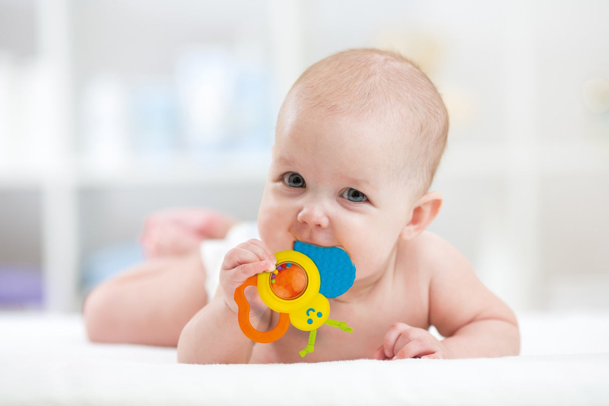 WINFUN ZORNAITOARE FLUTURAS CU JUCARIE DE DENTITIE