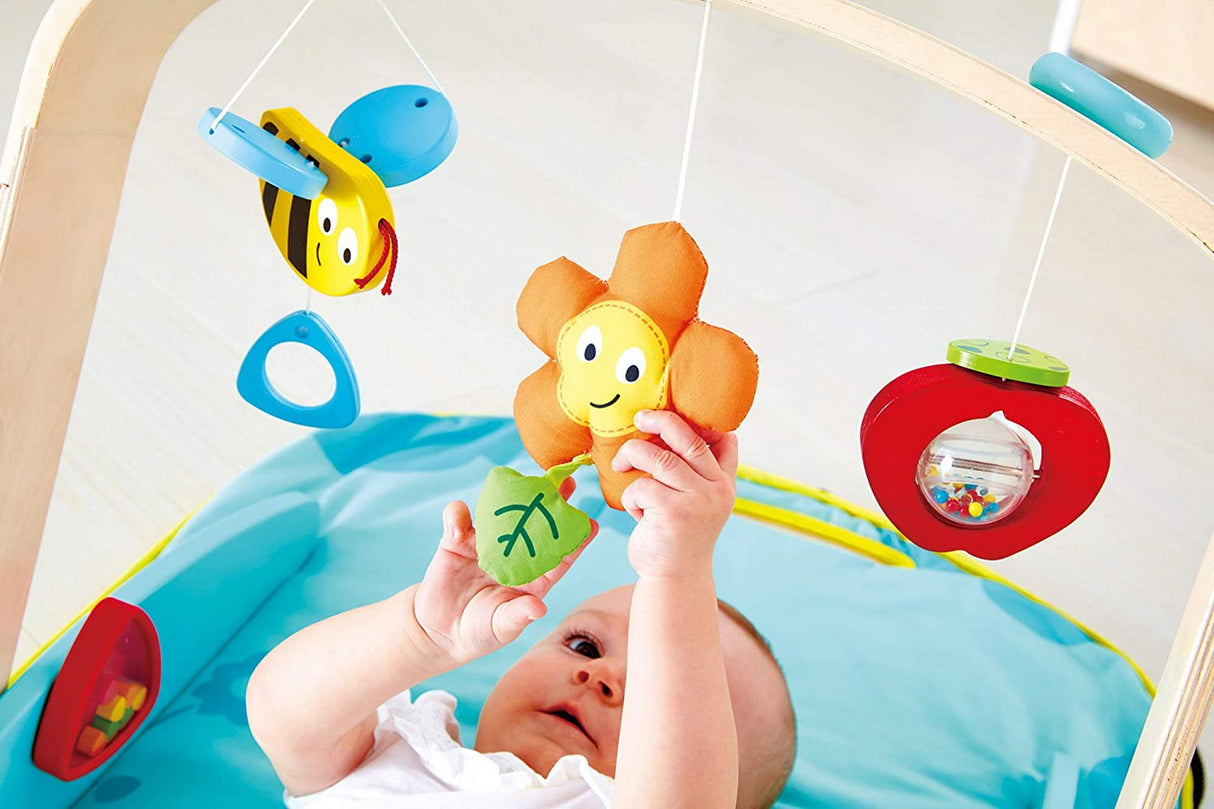 HAPE CENTRU DE JOACA PENTRU BEBELUSI