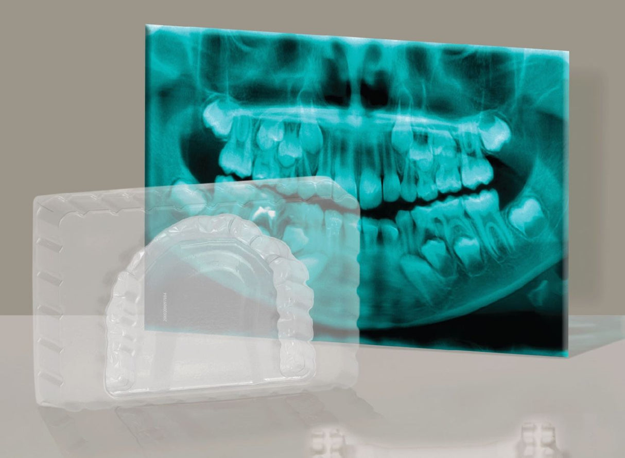 SET EDUCATIONAL LA DENTIST