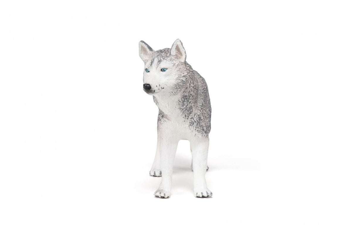 PAPO FIGURINA HUSKY SIBERIAN