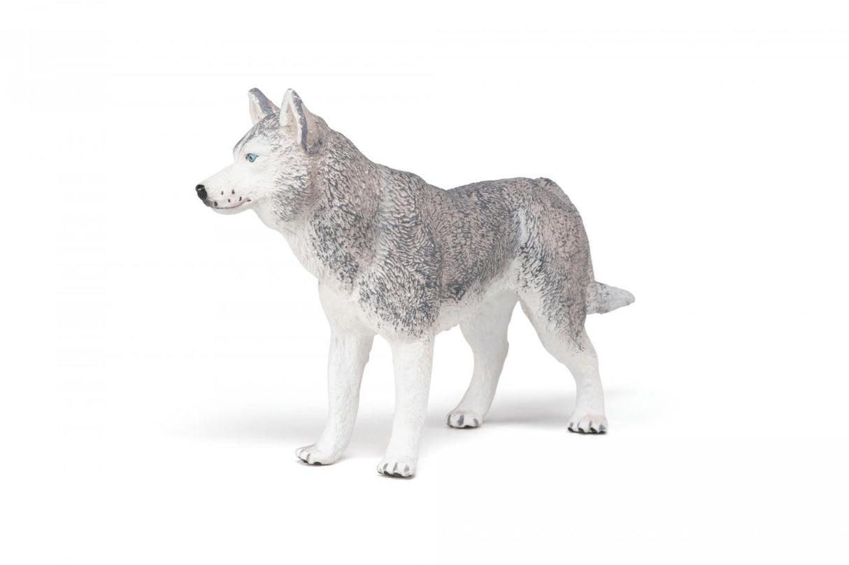 PAPO FIGURINA HUSKY SIBERIAN