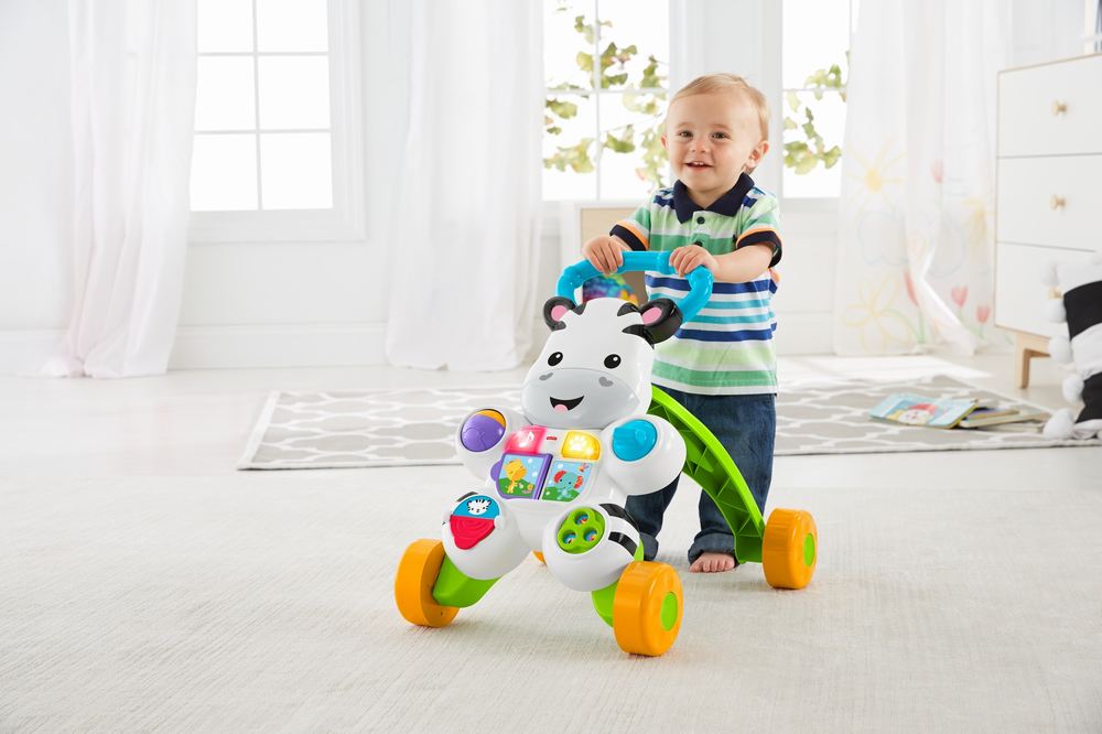 ANTEPREMERGATOR ZEBRA FISHER PRICE
