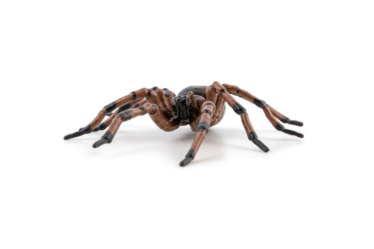 PAPO FIGURINA PAIANJEN