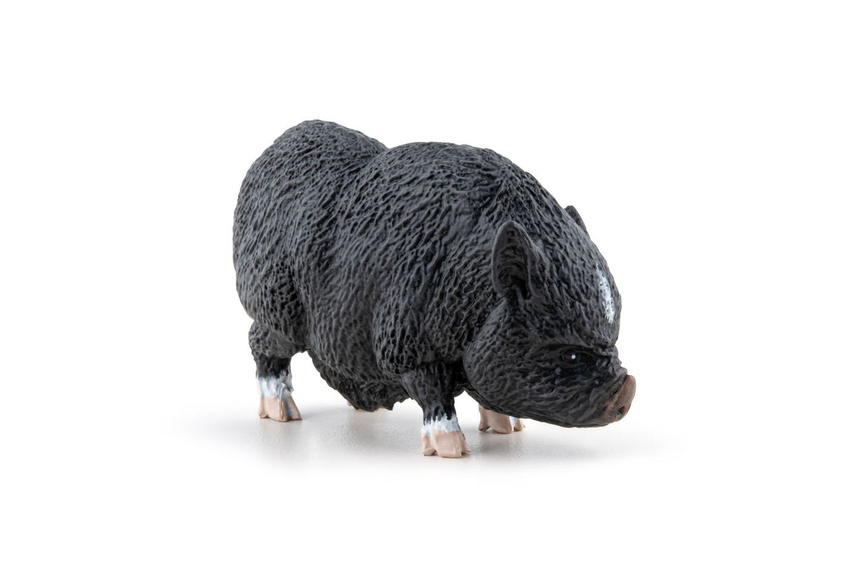 PAPO FIGURINA PORC VIETNAMEZ
