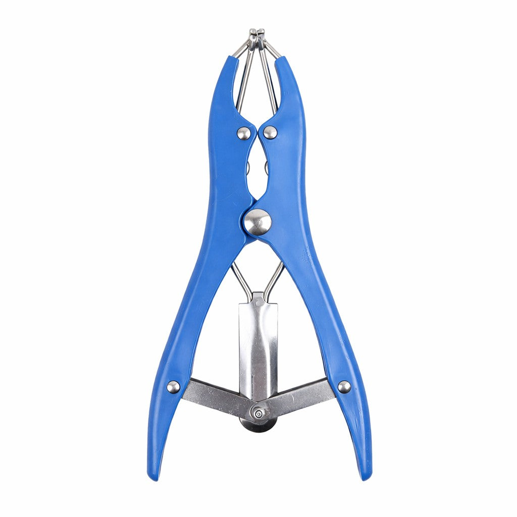 Clește castrare Flippy albastru cu 1000 inele elastice incluse, vedere frontală, 15x6 cm