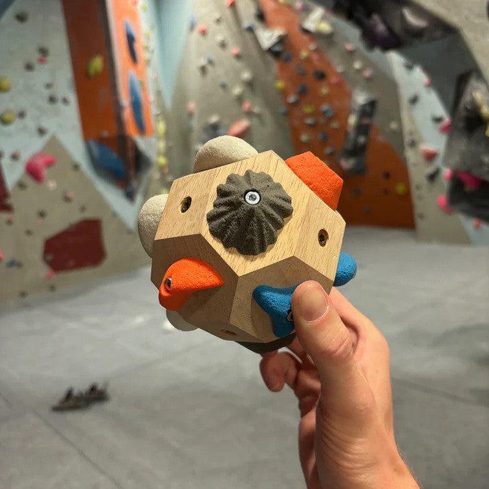 Bloc fingerboard lemn multicolor pentru escaladă, potrivit începători și sportivi avansați, 500g