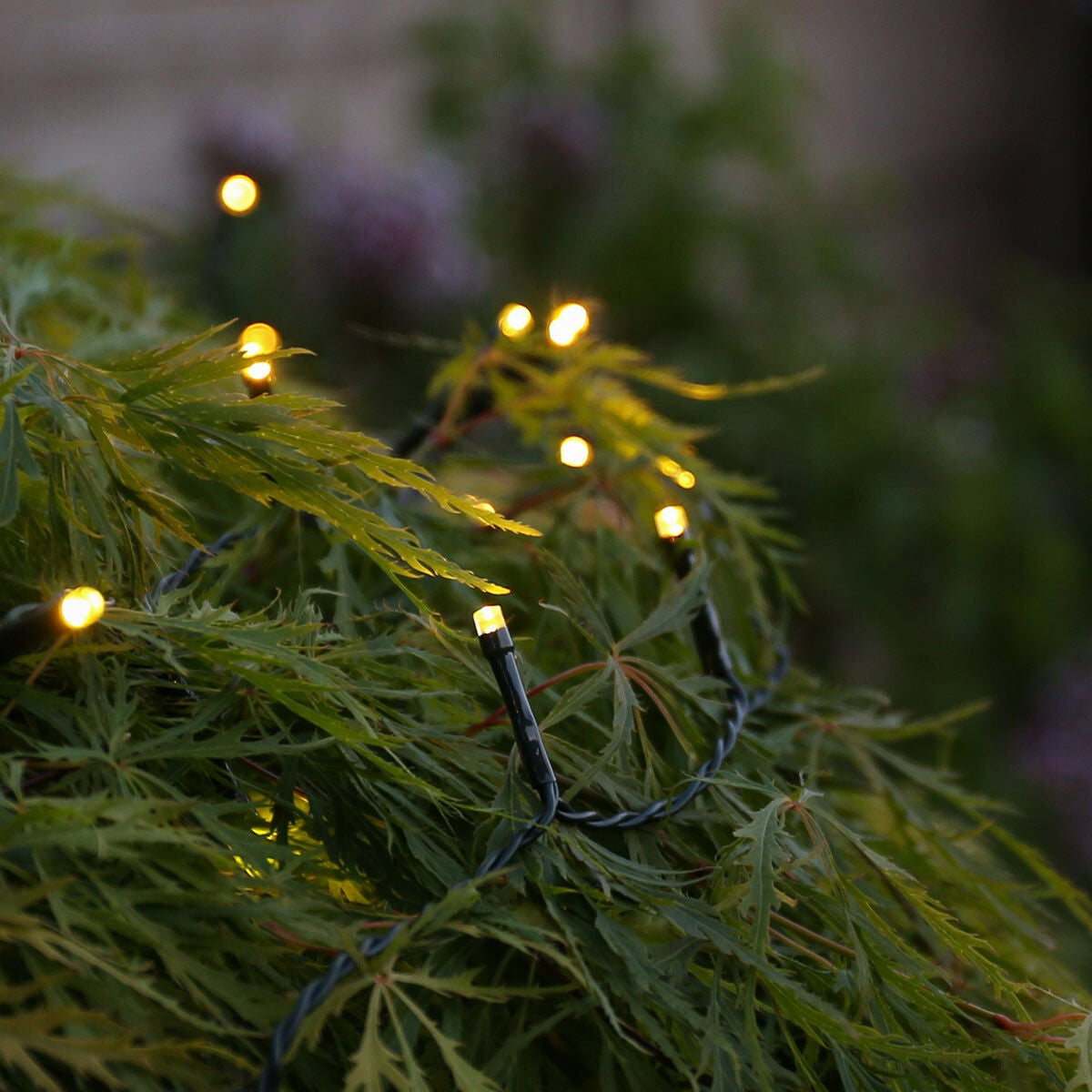 Instalatie de Craciun liniara Yoto, 10 m, din care 1 m cablu priza 220V, 100 LED, 8 jocuri de lumini, controler, fir negru, alb cald - vivimall.ro