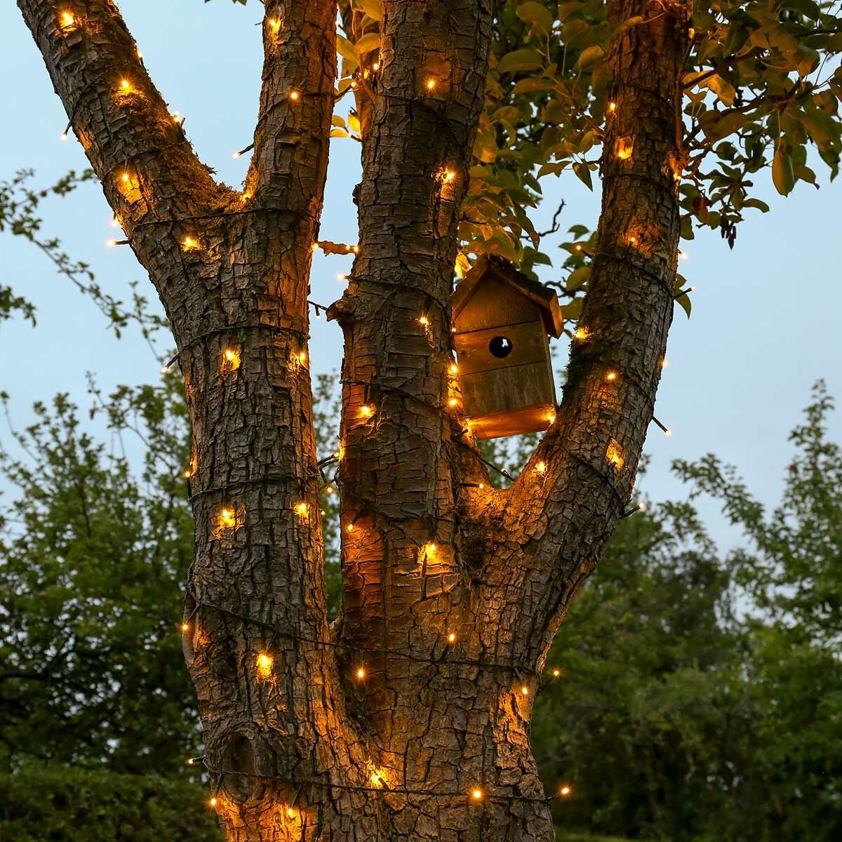 Instalatie de Craciun liniara Yoto, 24 m, din care 1 m cablu priza 220V, 300 LED, 8 jocuri de lumini, controler, fir negru, alb cald - vivimall.ro