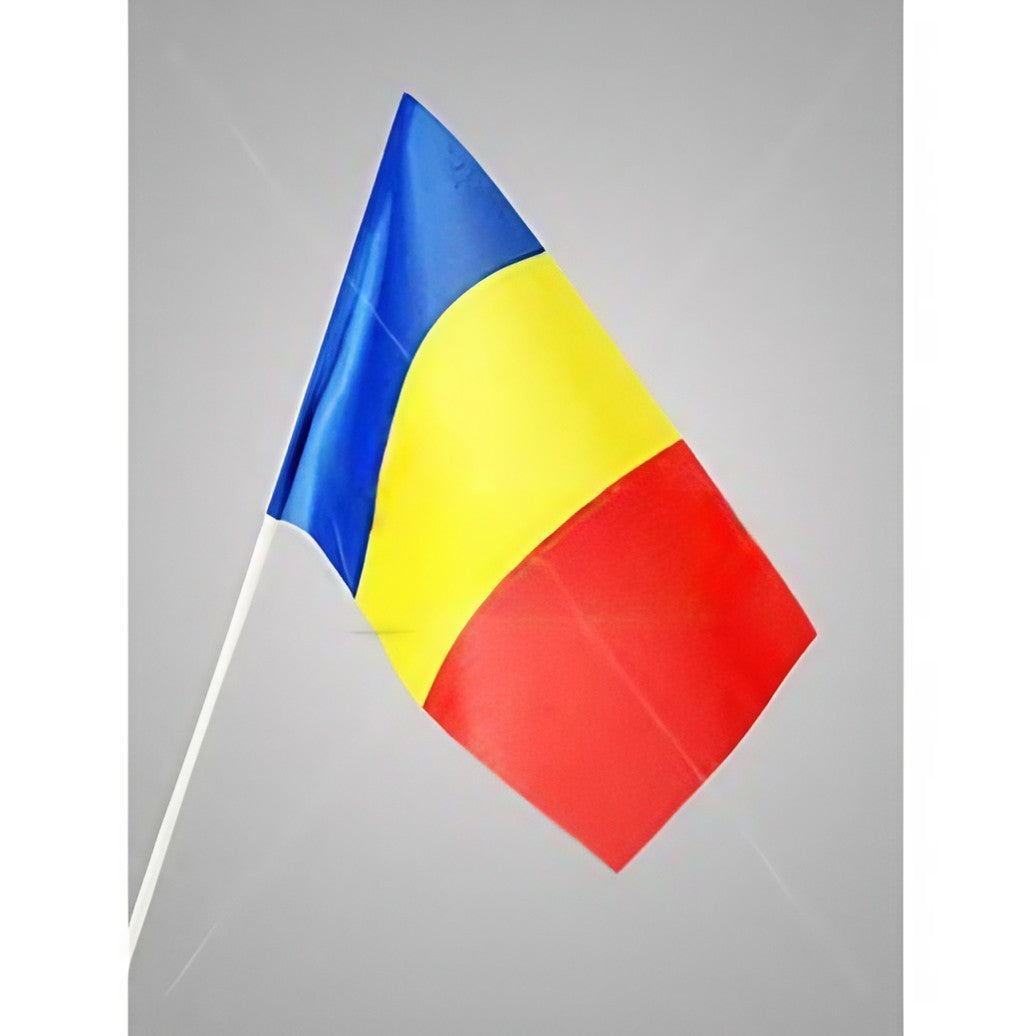 Set 12 Steaguri de Mana Tricolor, Flippy, Dimensiune 20x30 cm, Stegulet, Drapel - vivimall.ro