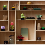 Set de Constructie Ghivece de Flori Suculente, Vivimall, Ornament Creativ, 771 de Piese, Multiple Variante de Asamblare, Multicolor - vivimall.ro