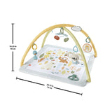FISHER PRICE SALTELUTA DE GIMNASTICA PENTRU NOU NASCUTI