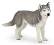PAPO FIGURINA HUSKY SIBERIAN