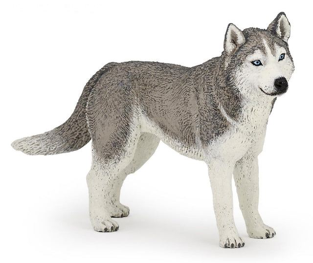 PAPO FIGURINA HUSKY SIBERIAN