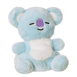 AURORA JUCARIE DE PLUS SHOOKY PONG PONG 13CM