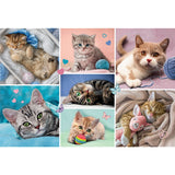 PUZZLE TREFL 100 IN LUMEA PISICILOR