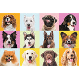 PUZZLE TREFL 60 CATEI DRAGUTI