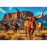PUZZLE TREFL 1000 COLECTIA SUA LONGHORNS POSTER INCLUS