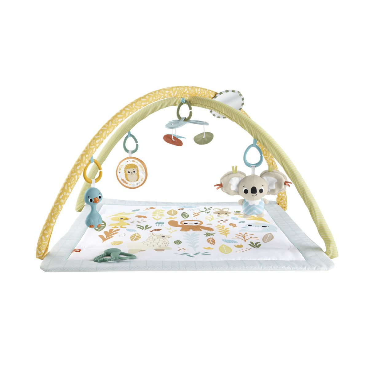 FISHER PRICE SALTELUTA DE GIMNASTICA PENTRU NOU NASCUTI