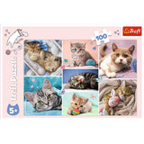 PUZZLE TREFL 100 IN LUMEA PISICILOR