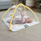 FISHER PRICE SALTELUTA DE GIMNASTICA PENTRU NOU NASCUTI