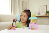 BARBIE FAMILY AND FRIENDS SET CLUBUL LUI CHELSEA ZI DE NASTERE