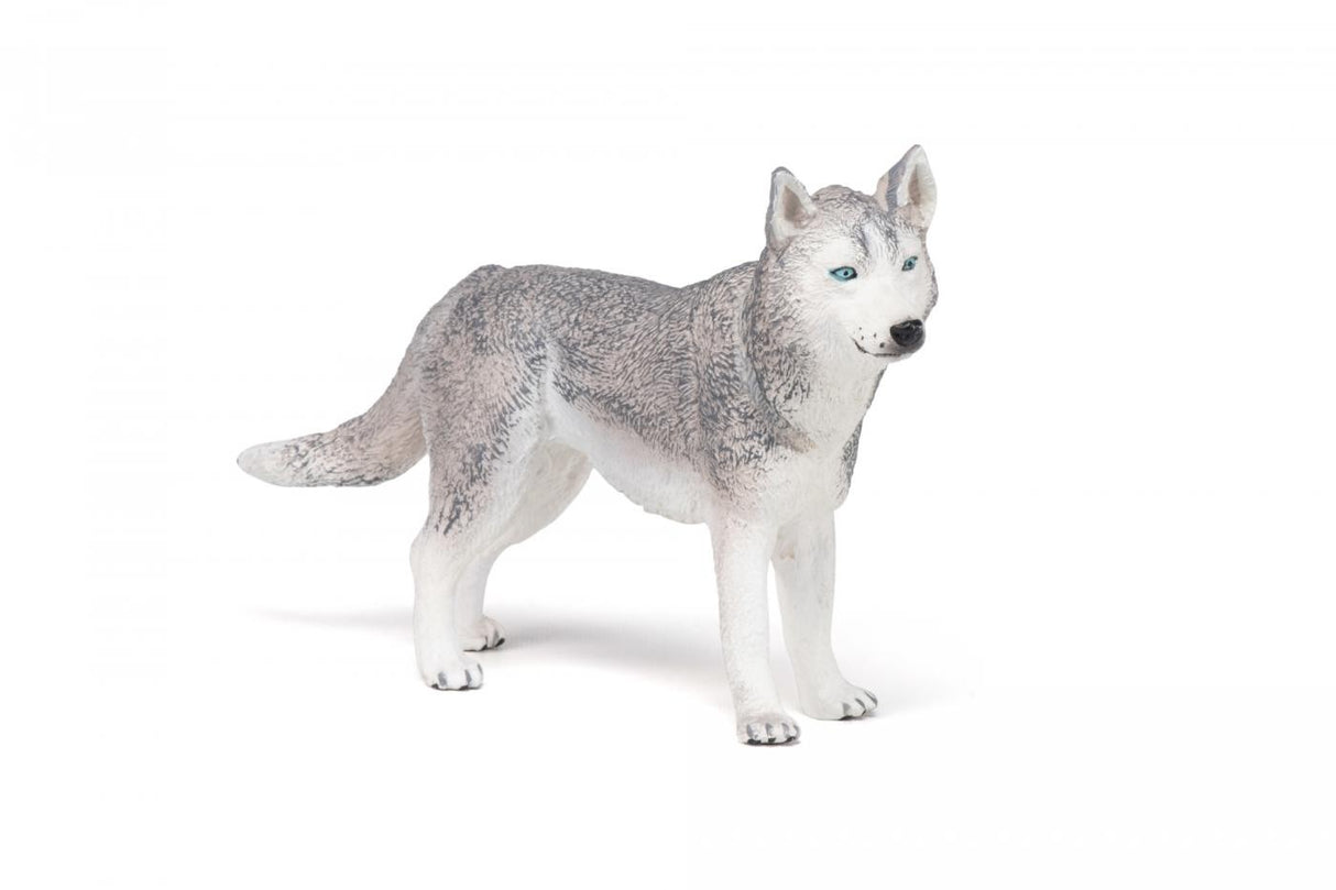 PAPO FIGURINA HUSKY SIBERIAN