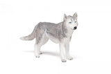 PAPO FIGURINA HUSKY SIBERIAN