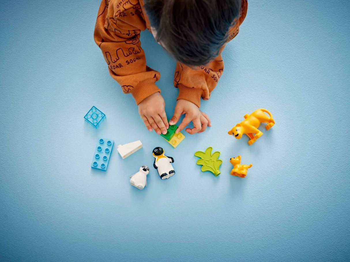 LEGO DUPLO FAMILII DE ANIMALE SALBATICE: PINGUINI SI LEI 10442