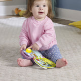 FISHER PRICE CARTE MUZICALA MAIMUTICA MOV