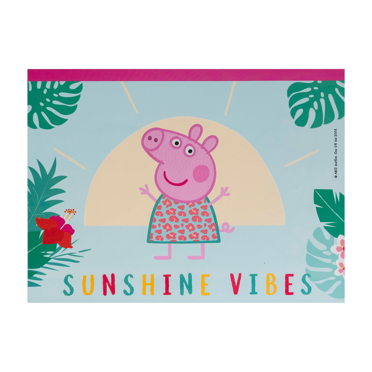 SET DESEN GENTUTA DE CREATIE PEPPA PIG