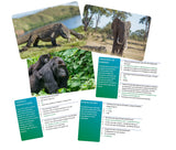 JOC INTERACTIV LUMEA ANIMALELOR IN LIMBA ROMANA