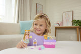 BARBIE FAMILY AND FRIENDS SET CLUBUL LUI CHELSEA PETRECERE CU CEAI SURPRIZA