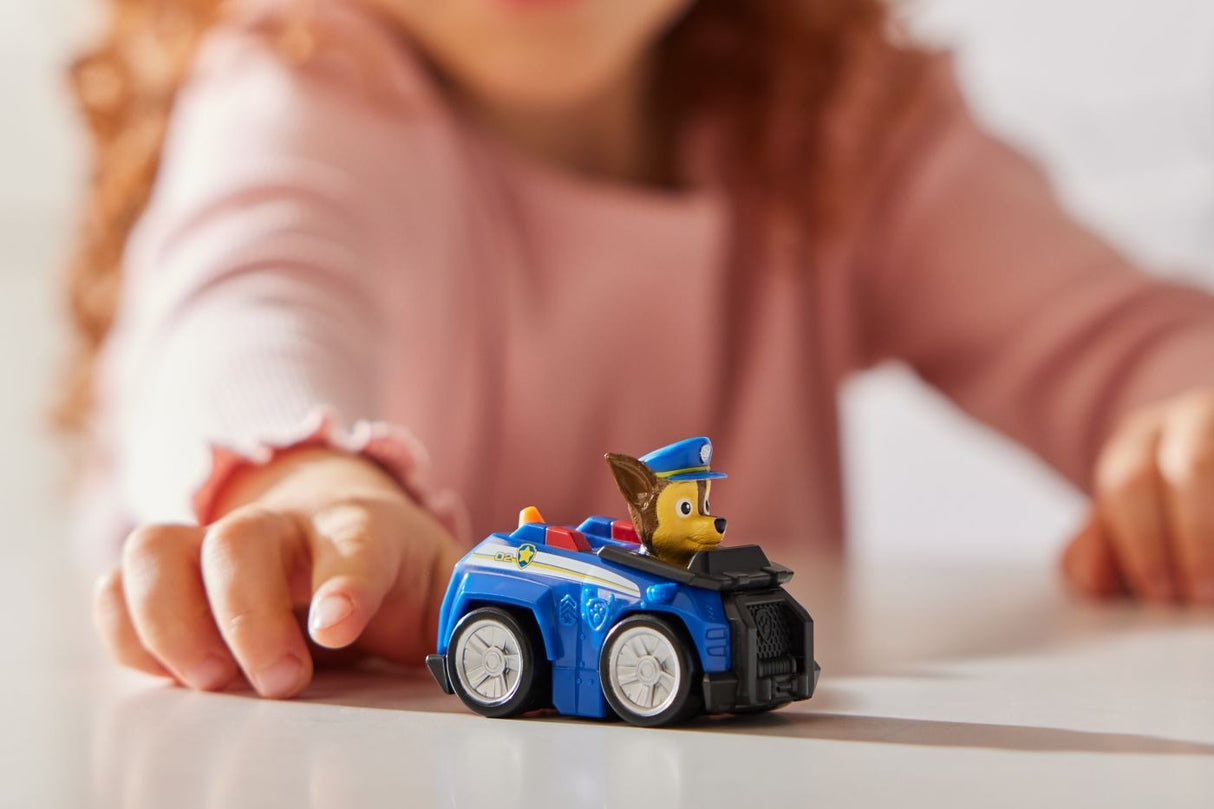 PATRULA CATELUSILOR PUP SQUAD RACERS VEHICUL CU FIGURINA CHASE