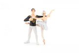 PAPO SET FIGURINE BALERINA SI PARTENERUL EI