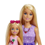 BARBIE FAMILY AND FRIENDS SET PAPUSA BARBIE SI PAPUSA CHELSEA
