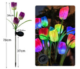 Napelemes lámpa tulipánokkal 3 virággal | BrightLeaf