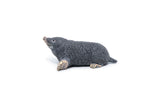PAPO FIGURINA CARTITA