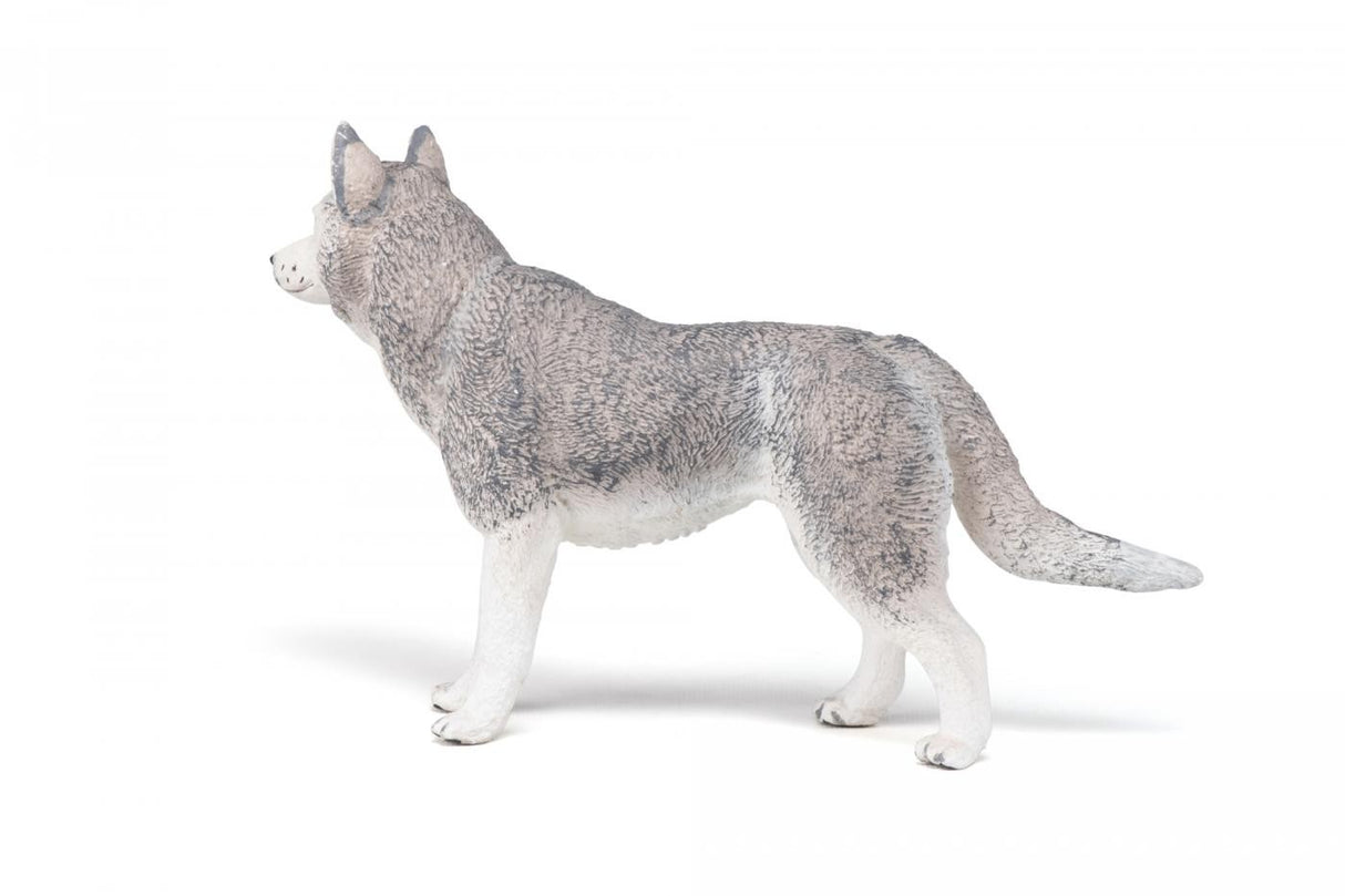 PAPO FIGURINA HUSKY SIBERIAN