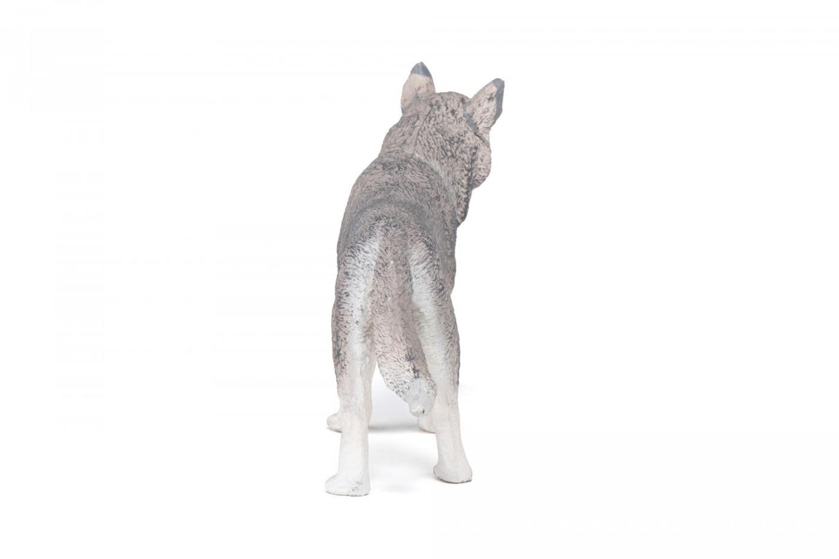 PAPO FIGURINA HUSKY SIBERIAN