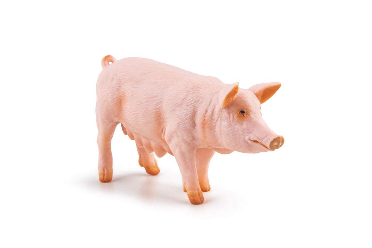 PAPO FIGURINA SCROAFA