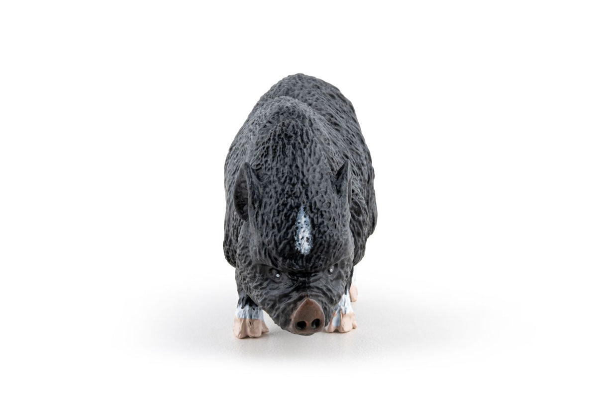 PAPO FIGURINA PORC VIETNAMEZ
