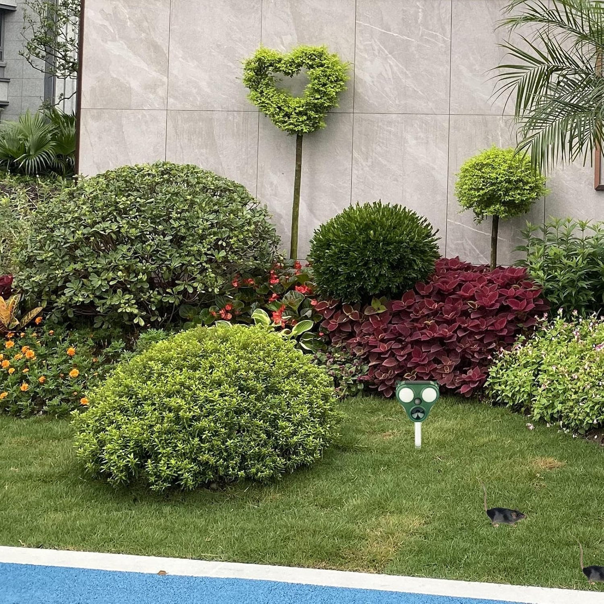 Aparat Solar LED cu Ultrasunete, Vivimall, Repelent pentru Animale Mari si Mici, Lumina Rosie si Alba, Anti Rozatoare, Anti Insecte, Frecventa 13.5KHZ-65 KHZ, Senzor PIR, 13 x 14.7 x 24.5 cm, Verde - vivimall.ro