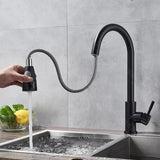 Baterie Bucatarie Cu Dus Extractibil, Inox Sus304 - vivimall.ro