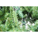 Brad artificial de Craciun tip pin, Bogat Premium, inaltime 240 cm, 1420 ramuri, Vivimall, verde, suport metalic inclus - vivimall.ro